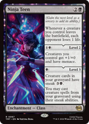 Ninja Teen [Teenage Mutant Ninja Turtles]