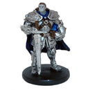 Half-Orc Paladin (15/55)