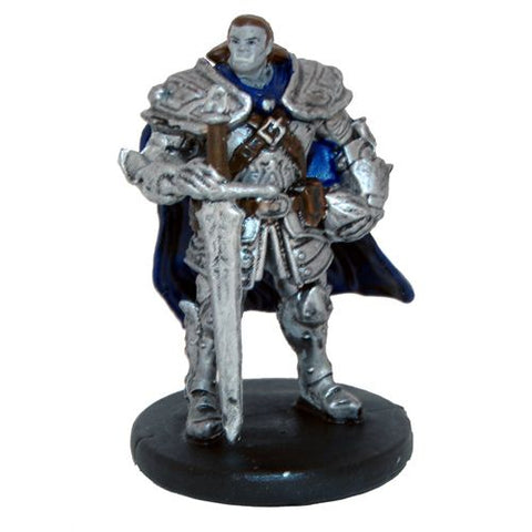 Half-Orc Paladin (15/55)