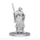 Critical Role Unpainted Miniatures: Bearegard Lionett & Caleb Widogast