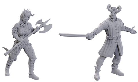Dnd Unpainted Minis Special Edition - Baldur's Gate 3 - Wyll & Karlach