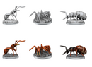 Wizkids Deep Cuts: Giant Ants