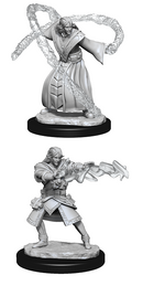 Nolzur's Marvelous Miniatures: Elf Wizard