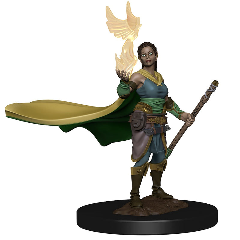 Icons of the Realms: Elf Female Druid