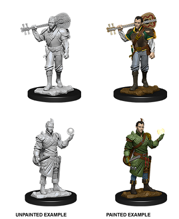 Nolzur's Marvelous Miniatures: Male Half-Elf Bard