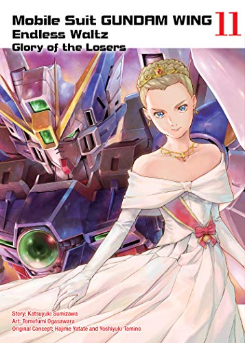 Mobile Suit Gundam Endless Waltz GN Vol 11