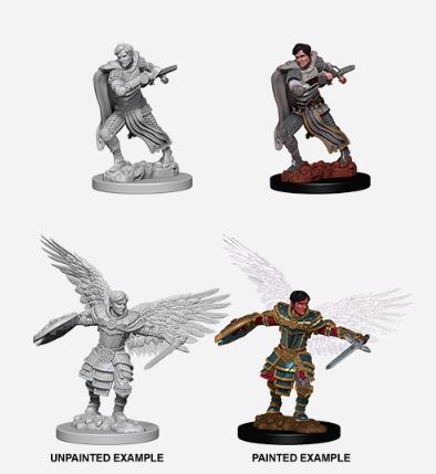 Nolzur's Marvelous Miniatures: Male Aasimar Fighter