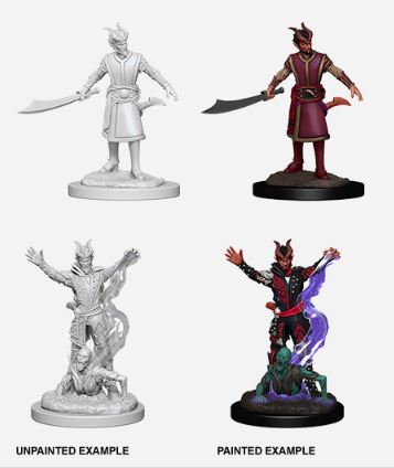 Nolzur's Marvelous Miniatures: Male Tiefling Warlock