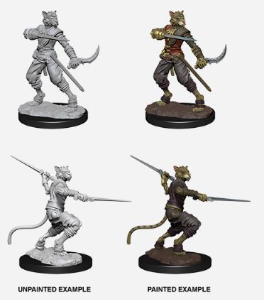 Nolzur's Marvelous Miniatures: Male Tabaxi Rogue