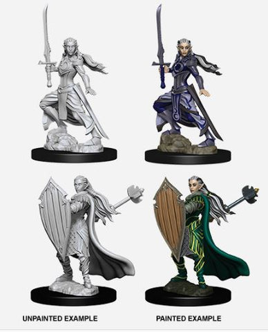 Nolzur's Marvelous Miniatures: Female Elf Paladin