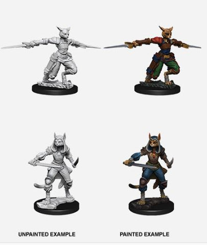 Nolzur's Marvelous Miniatures: Female Tabaxi Rogue