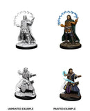 Nolzur's Marvelous Miniatures: Male Human Wizard