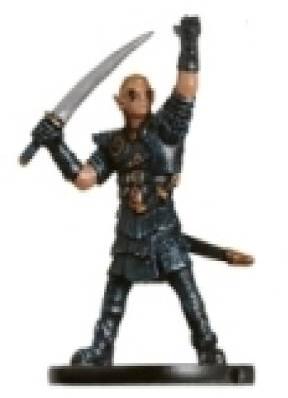 Half-Elf Hexblade (33/60)