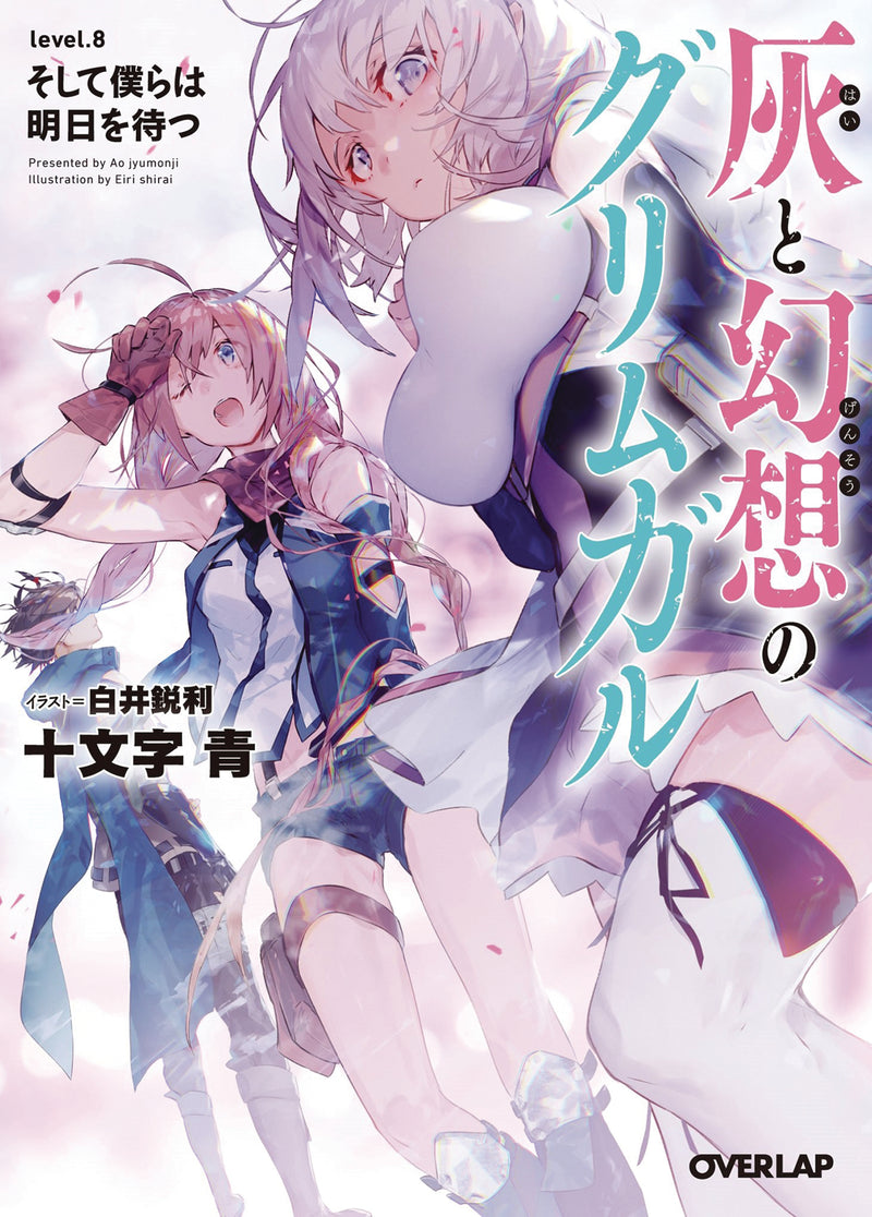 Grimgar Of Fantasy & Ash Light Novel Vol 08