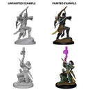 Nolzur's Marvelous Miniatures: Elf Male Bard