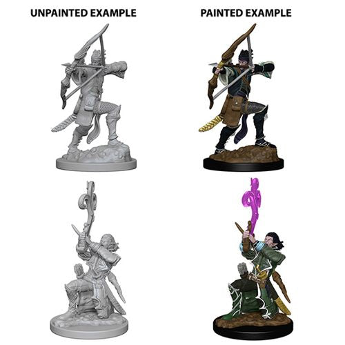 Nolzur's Marvelous Miniatures: Elf Male Bard