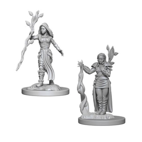 Nolzur's Marvelous Miniatures: Human Female Druid