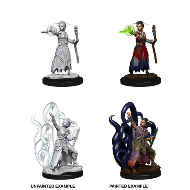 Nolzur's Marvelous Miniatures: Female Human Warlock