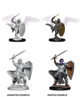 Nolzur's Marvelous Miniatures: Aasimar Male Paladin