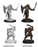 Nolzur's Marvelous Miniatures: Dragonborn Female Paladin