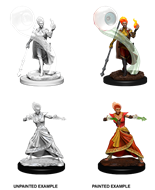 Nolzur's Marvelous Miniatures: Fire Genasi Female Wizard