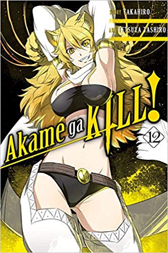 Akame Ga Kill GN Vol 12