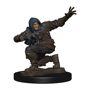 Pathfinder Battles Premium Figures: Human Male Rogue