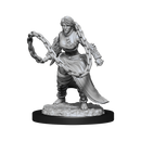 Nolzur's Marvelous Miniatures: Human Monk (Female)