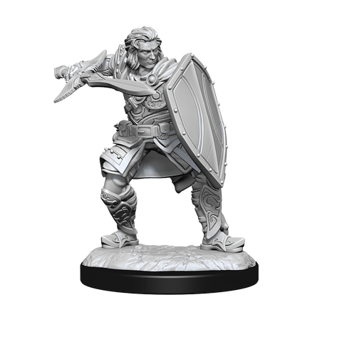 Nolzur's Marvelous Miniatures: Human Paladin Male