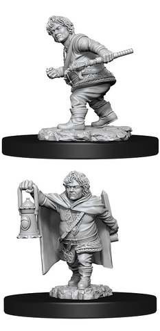 Nolzur's Marvelous Miniatures: Male Halfling Rogue