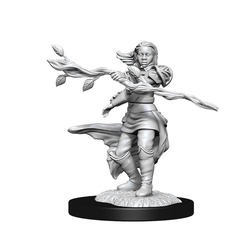 Nolzur's Marvelous Miniatures: Human Druid Female