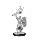 Nolzur's Marvelous Miniatures: Half-Elf Paladin Male